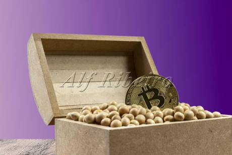 پیش بینی قیمت انواع سکه و طلا در هفته آینده